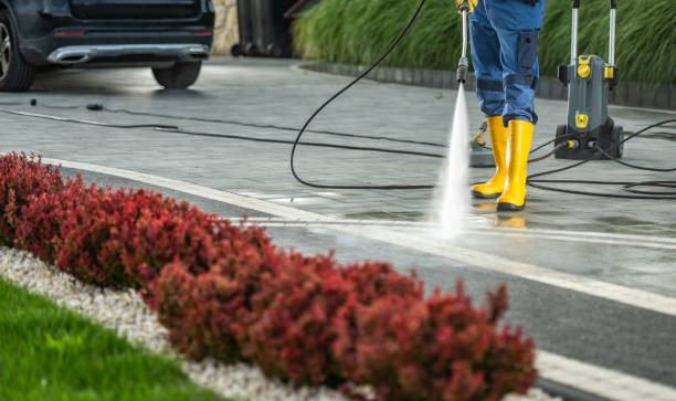 Best Gutter Cleaning  in Evans City, PA